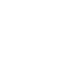 icons8-visa-250