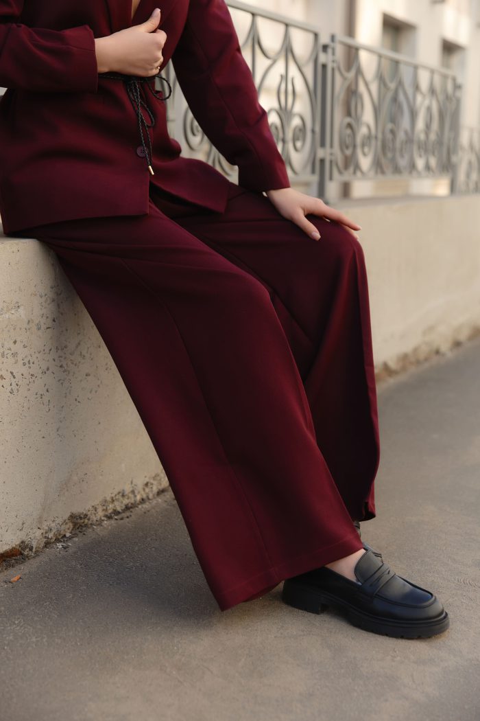 IMG_7017 Брюки класичні жіночі бордо Фото - 5